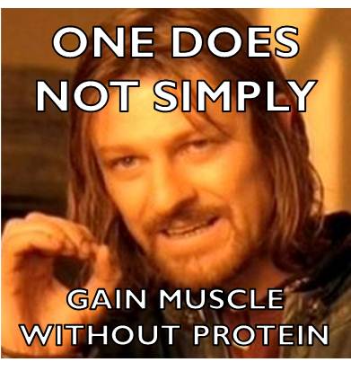 gain muscle protein meme